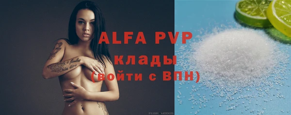 дживик Богородицк