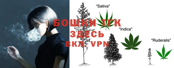 дживик Богородицк