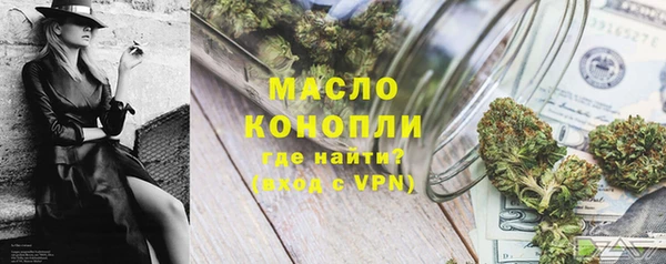 дживик Богородицк