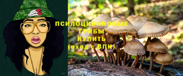 дживик Богородицк