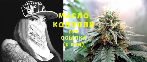 дживик Богородицк
