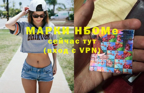 скорость Каменка