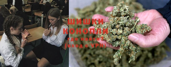 дживик Богородицк